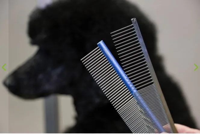 Aesculap  Stainless steel Combs