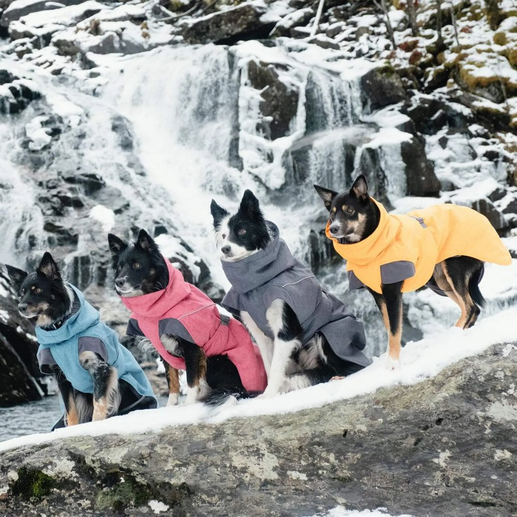 Hurtta Expedition Dog Parka - Beetroot