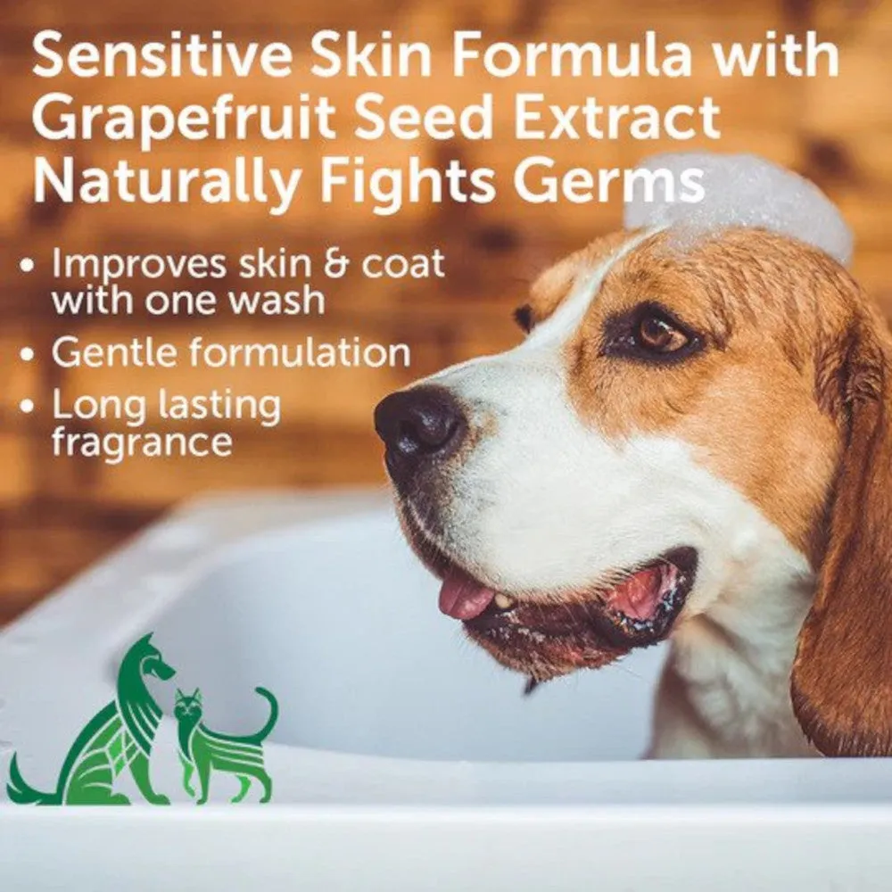 Skin & Coat Solution Coconut Lime Verbena Shampoo for Dogs & Cats