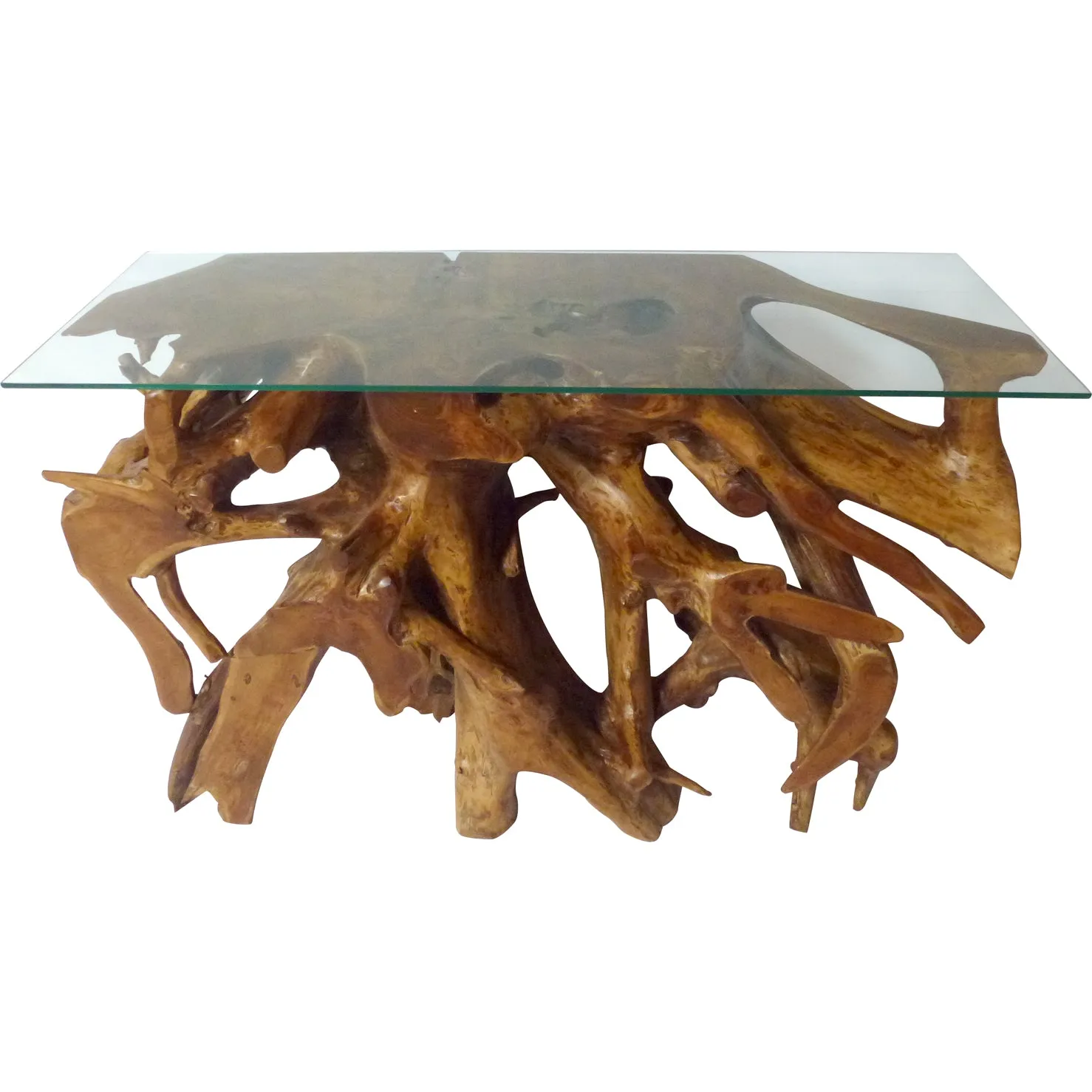 Teak Wood Root Console Table with Glass Top, 48 inches