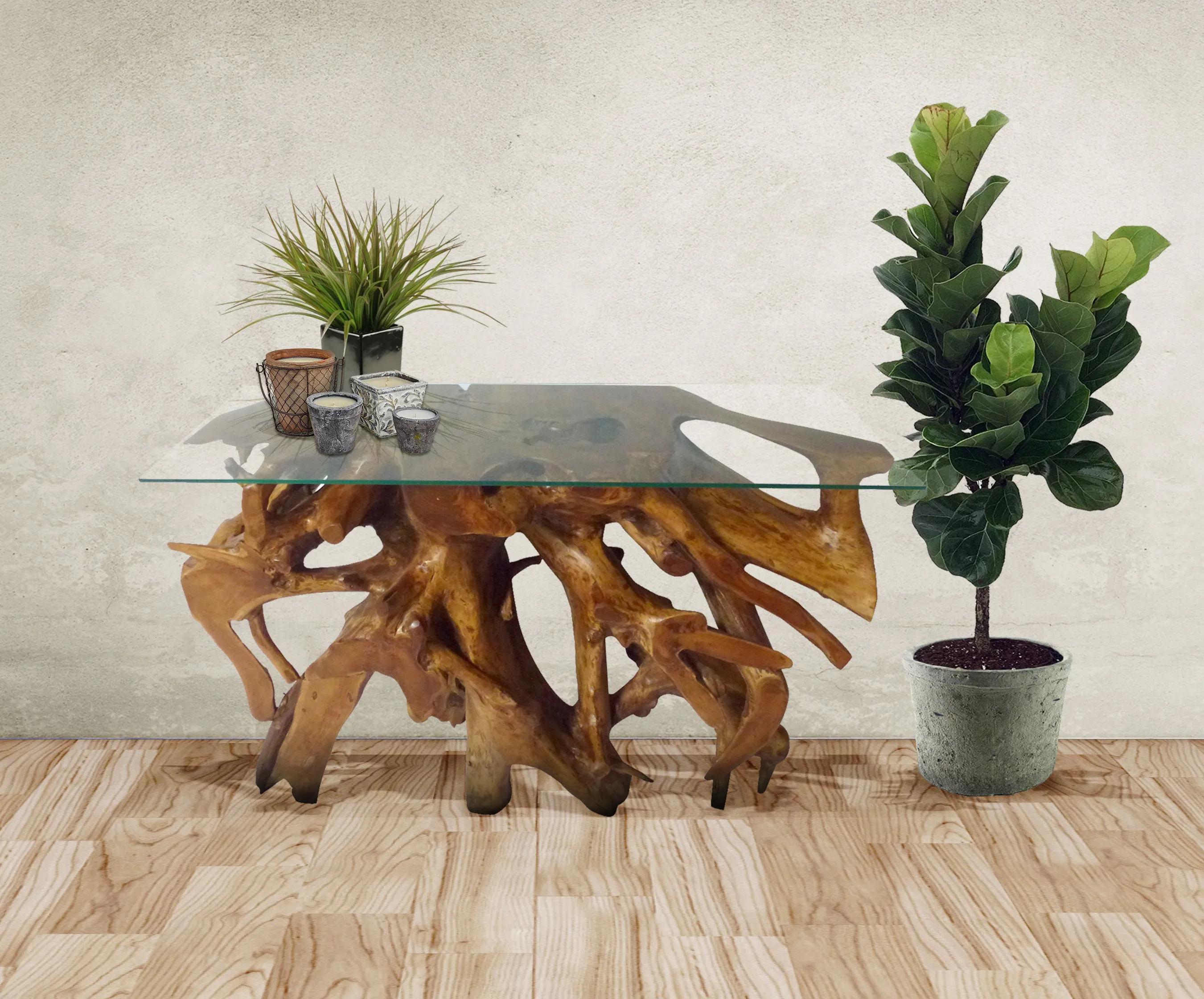 Teak Wood Root Console Table with Glass Top, 48 inches